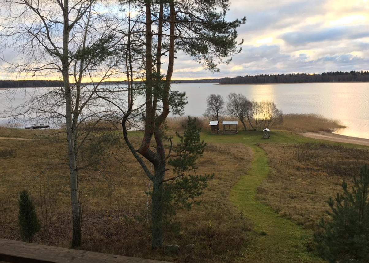 осенний-пейзаж-с-сосной-и-видом-на-озеро-в-загородном-отеле-ландшафт.jpg