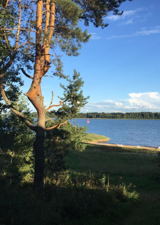 летний-вид-на-озеро-с-пляжа-загородного-отеля.jpg