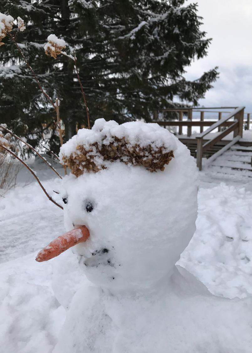 лучший-снеговик- слепленный-детьми-в-загородном-отеле-на-озере.jpg