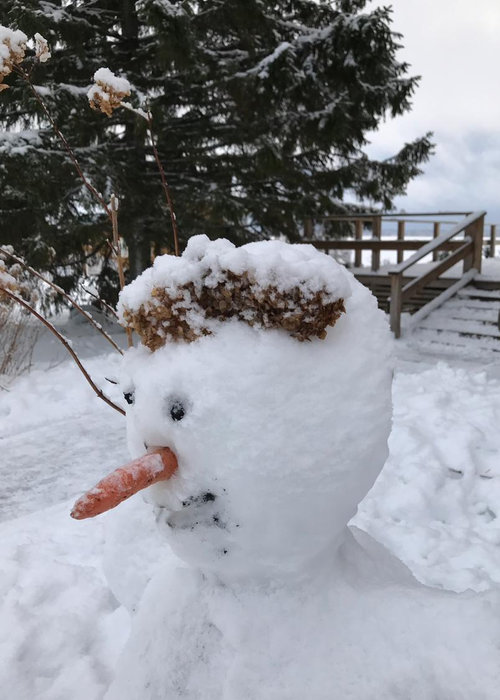 лучший-снеговик-+слепленный-детьми-в-загородном-отеле-на-озере.jpg