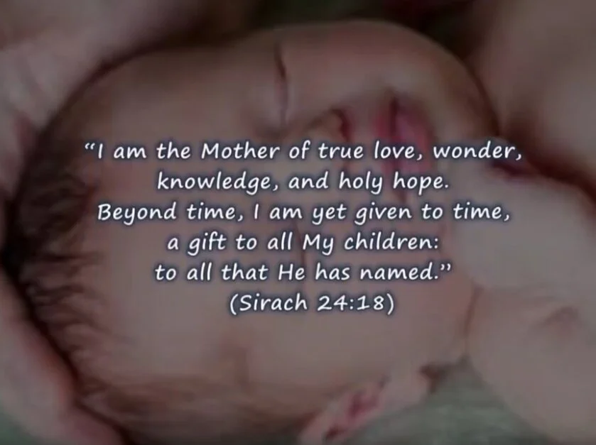 Reflection by Sr. Diane Guerette, DW
