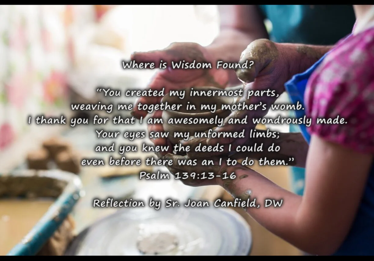 Reflection by Sr. Joan Canfield, DW