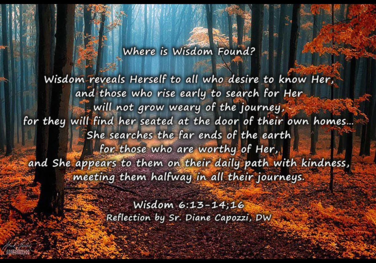 Reflection by Sr. Diane Capozzi, DW 