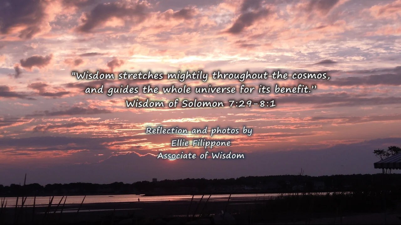 Reflection by Ellie Filippone