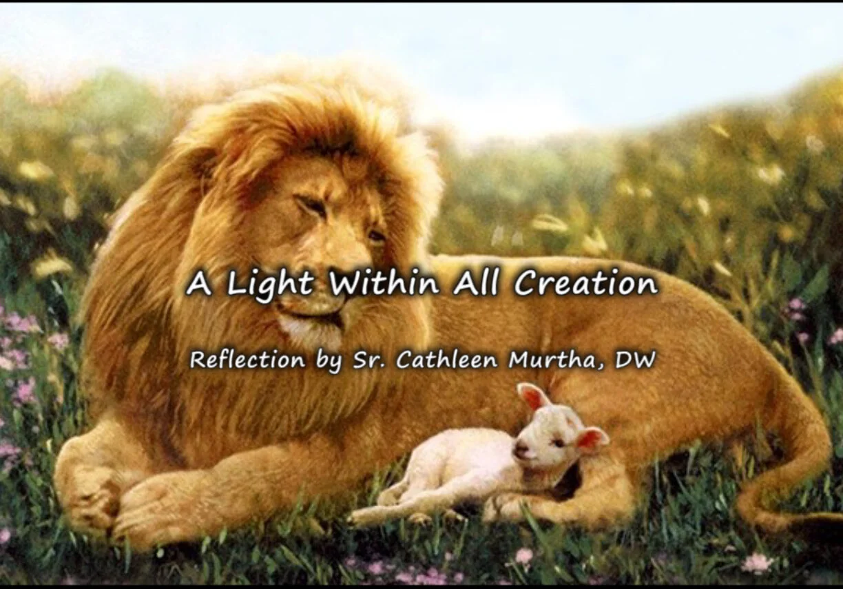 Reflection by Sr. Cathleen Murtha, DW