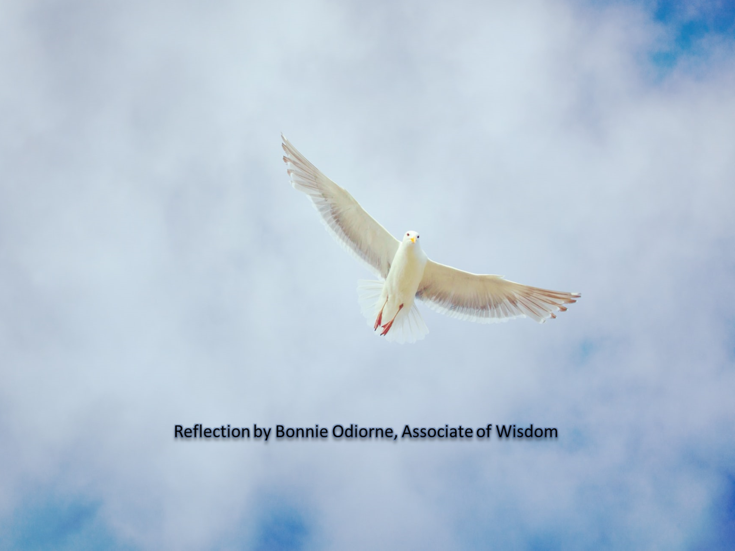 Reflection by Bonnie Odiorne, Associate of Wisdom