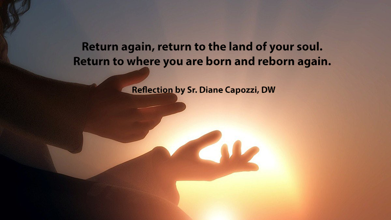 Reflection by Sr. Diane Capozzi, DW