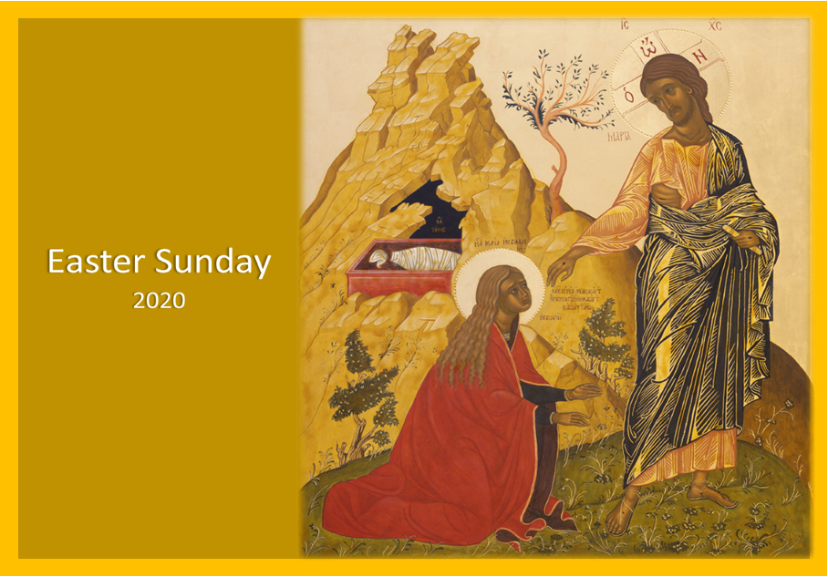 Reflection by Ellen Francois, Associate of Wisdom