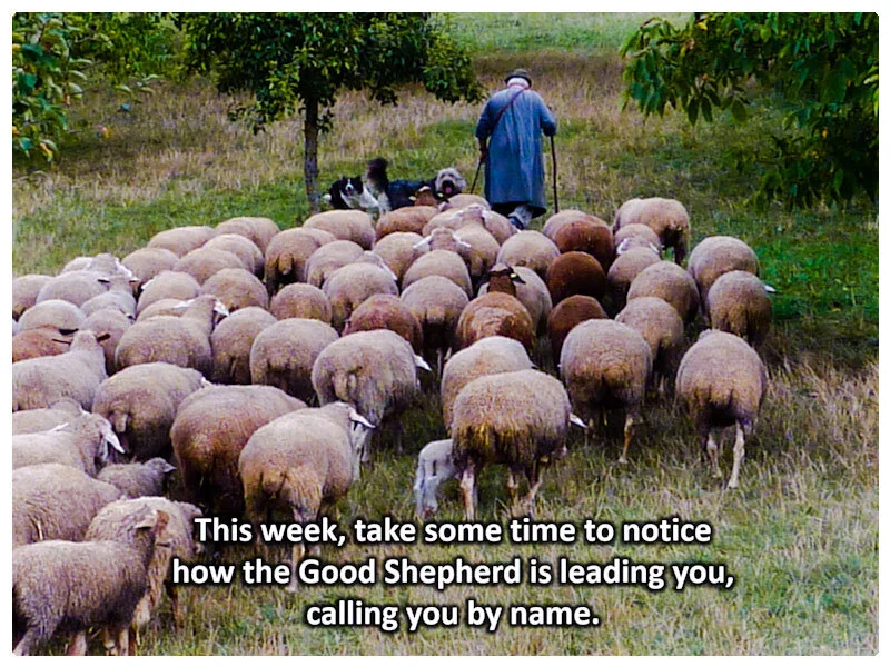 Reflection by Sr. Cathleen Murtha, DW