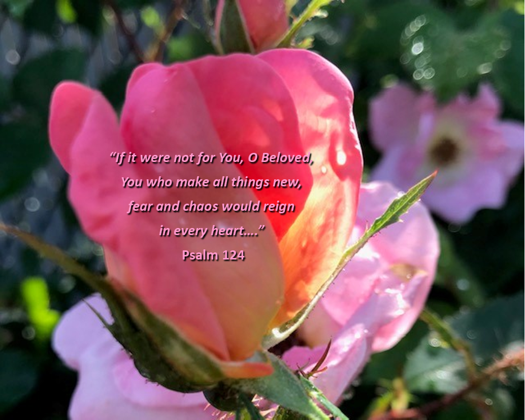 Reflection by Ellie Filippone, Associate of Wisdom