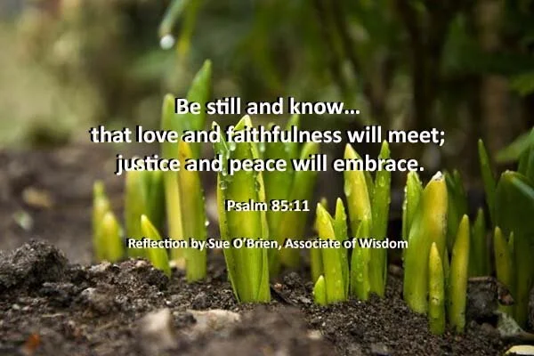 Reflection by Sue O'Brien, Associate of Wisdom