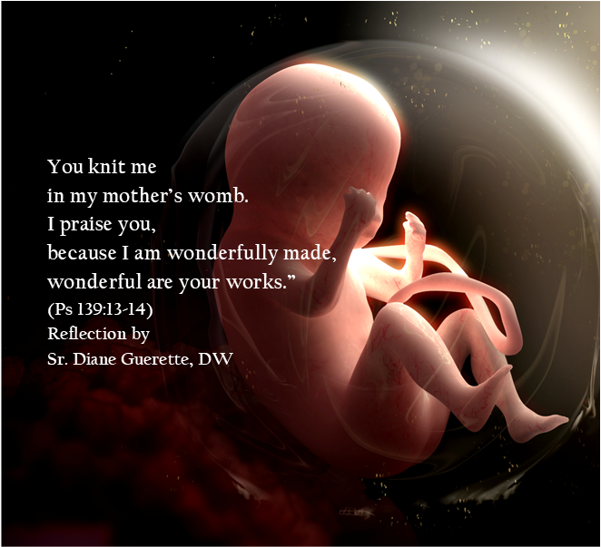 Reflection by Sr. Diane Guerette, DW