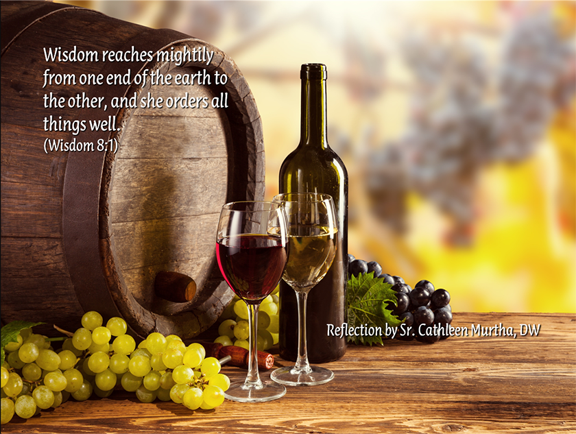 Reflection by Sr. Cathleen Murtha, DW