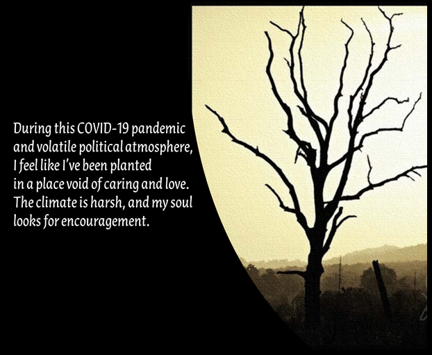 Reflection by Ellie Filippone, Associate of Wisdom