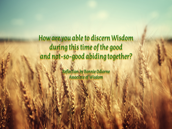 Reflection by Bonnie Odiorne, Associate of Wisdom