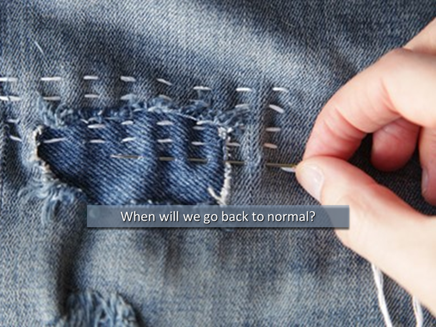 Reflection by Sr. Diane Capozzi, DW