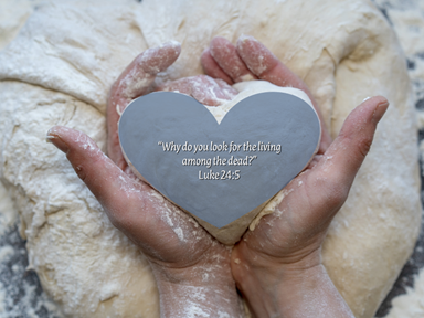 Reflection by Sr. Cathleen Murtha, DW