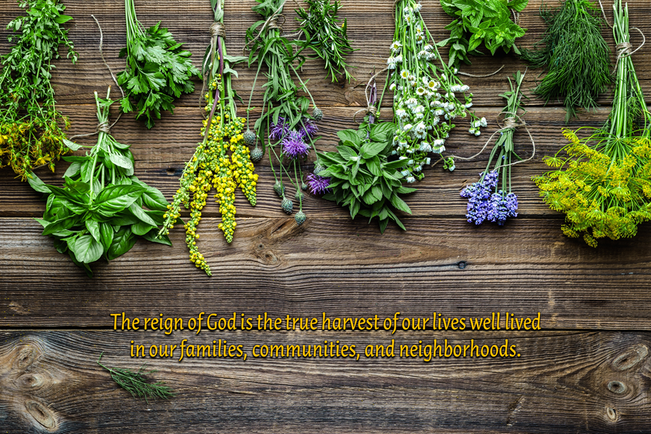 Reflection by Sr. Cathleen Murtha, DW