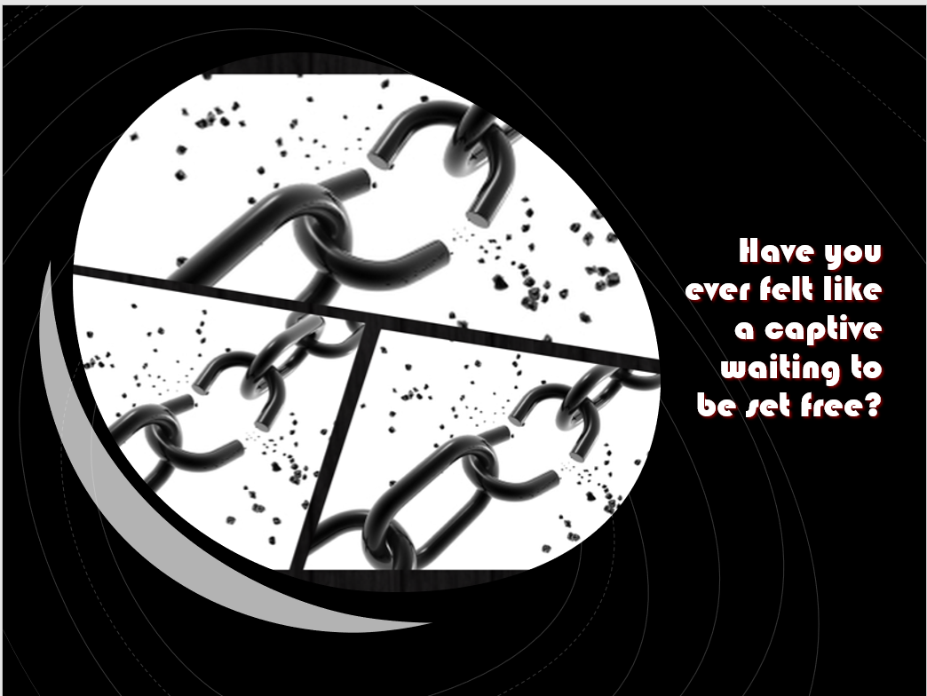 Reflection by Ellie Filippone, Associate of Wisdom