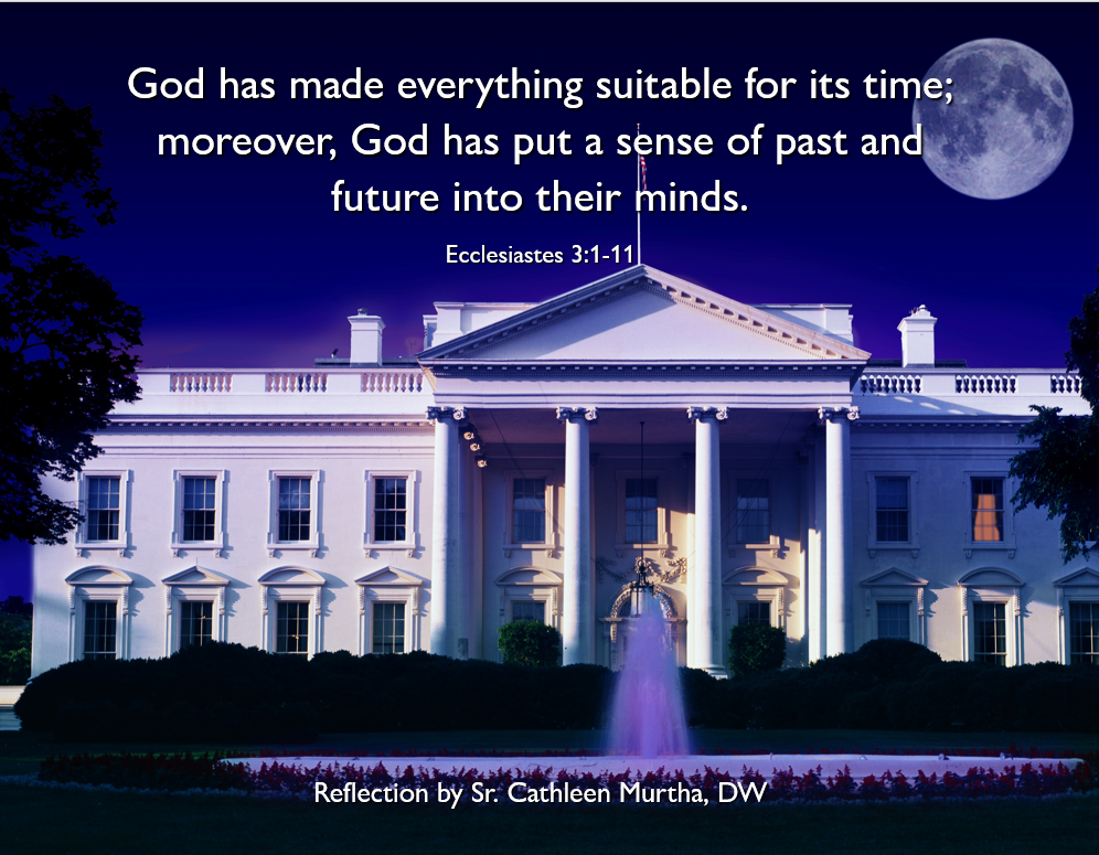 Reflection by Sr. Cathleen Murtha, DW