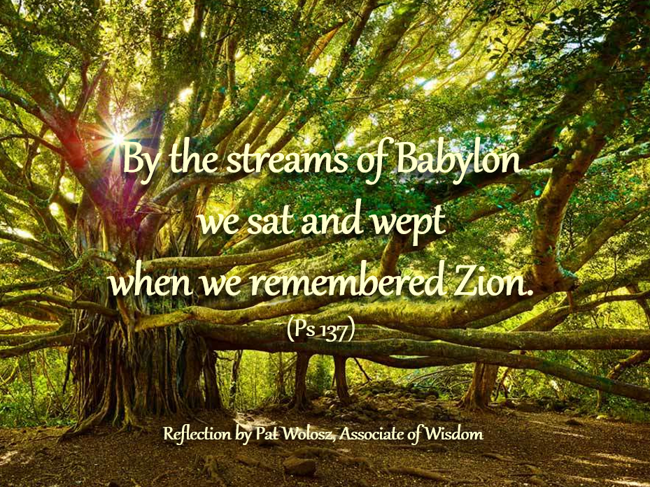 Reflection by Pat Wolosz, Associate of Wisdom