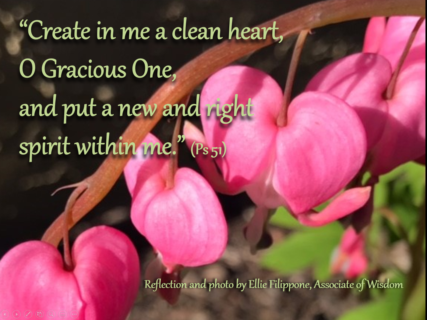 Reflection by Ellie Filippone, Associate of Wisdom