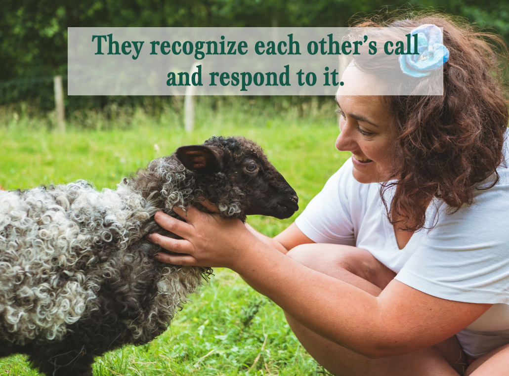 Reflection by Sr. Cathleen Murtha, DW