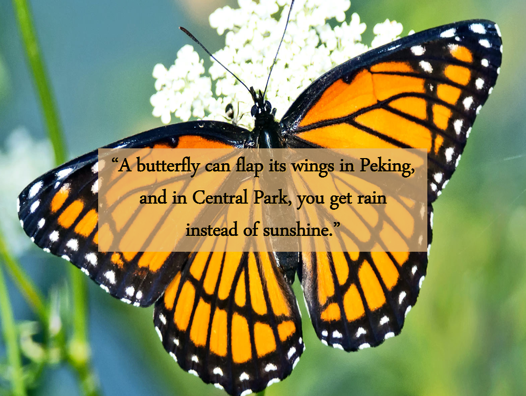 Reflection by Pat Wolosz, Associate of Wisdom