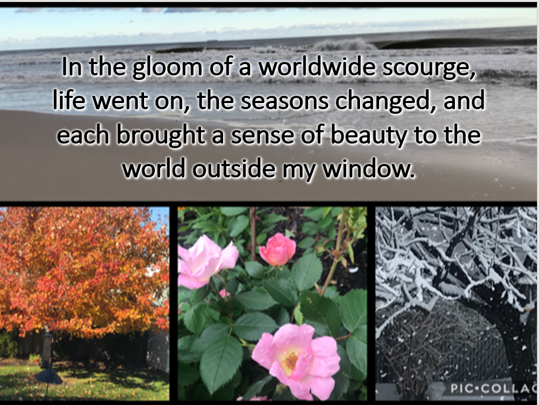 Reflection by Ellie Filippone, Associate of Wisdom