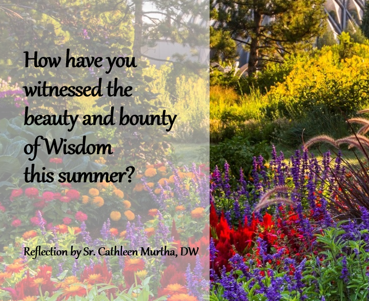 Reflection by Sr. Cathleen Murtha, DW