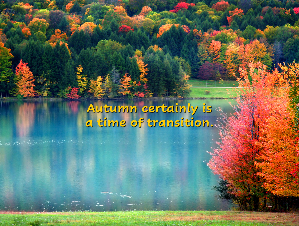 Reflection by Sr. Cathleen Murtha, DW