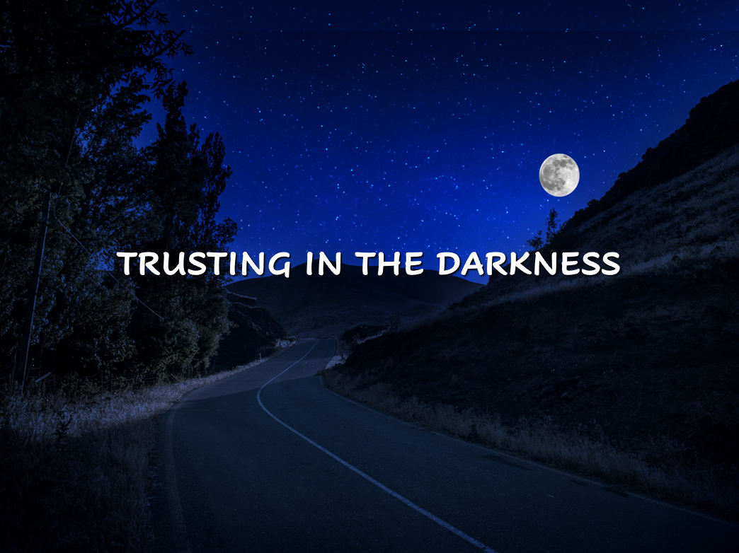 Reflection by Sr. Diane Capozzi, DW