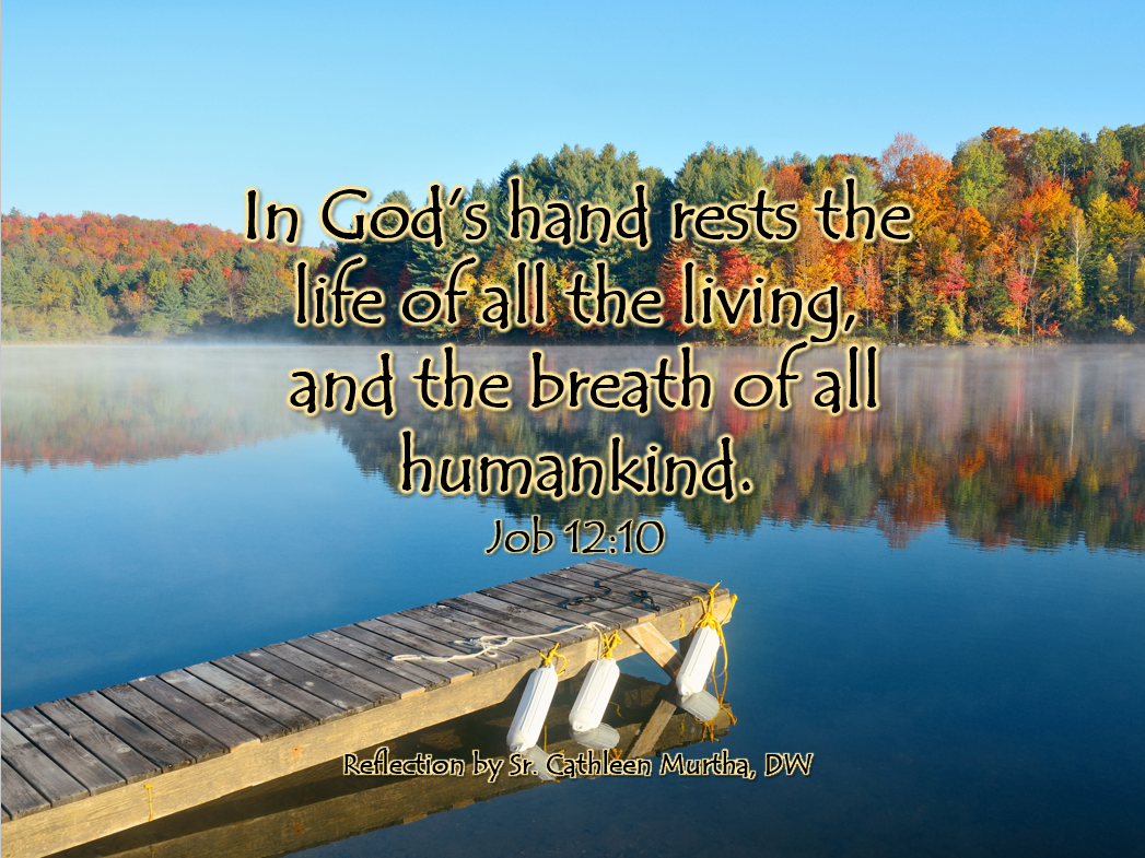 Reflection by Sr. Cathleen Murtha, DW