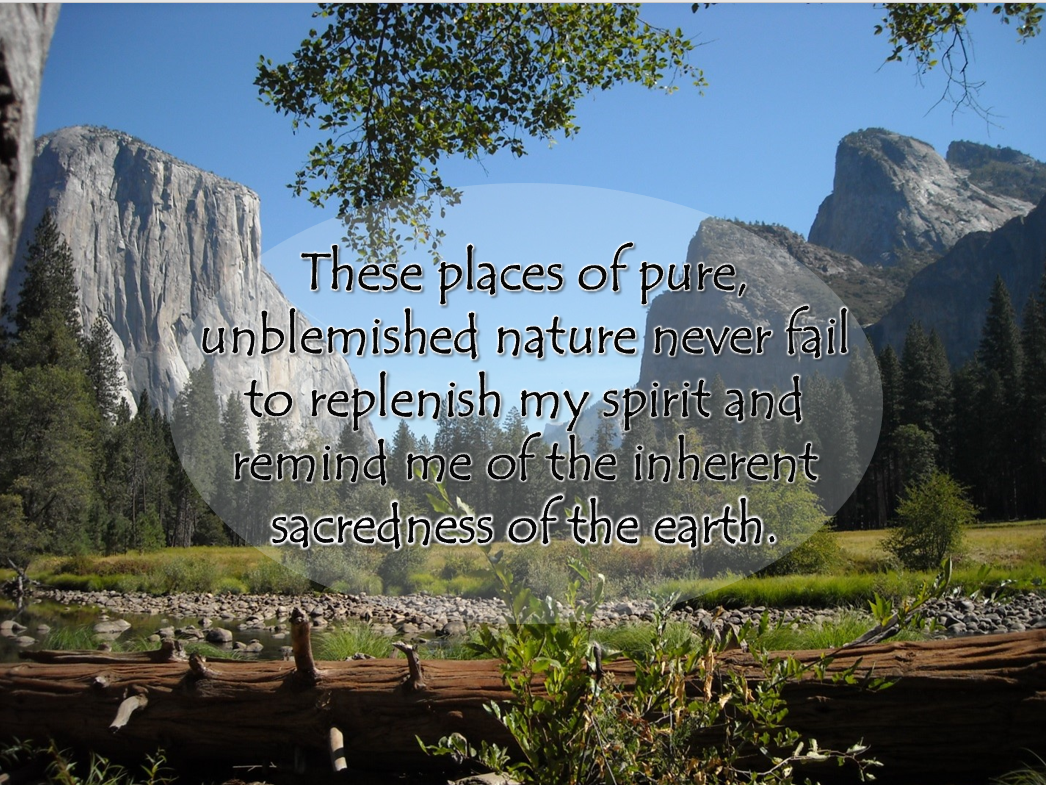 Reflection by Associate of Wisdom, Pat Wolosz