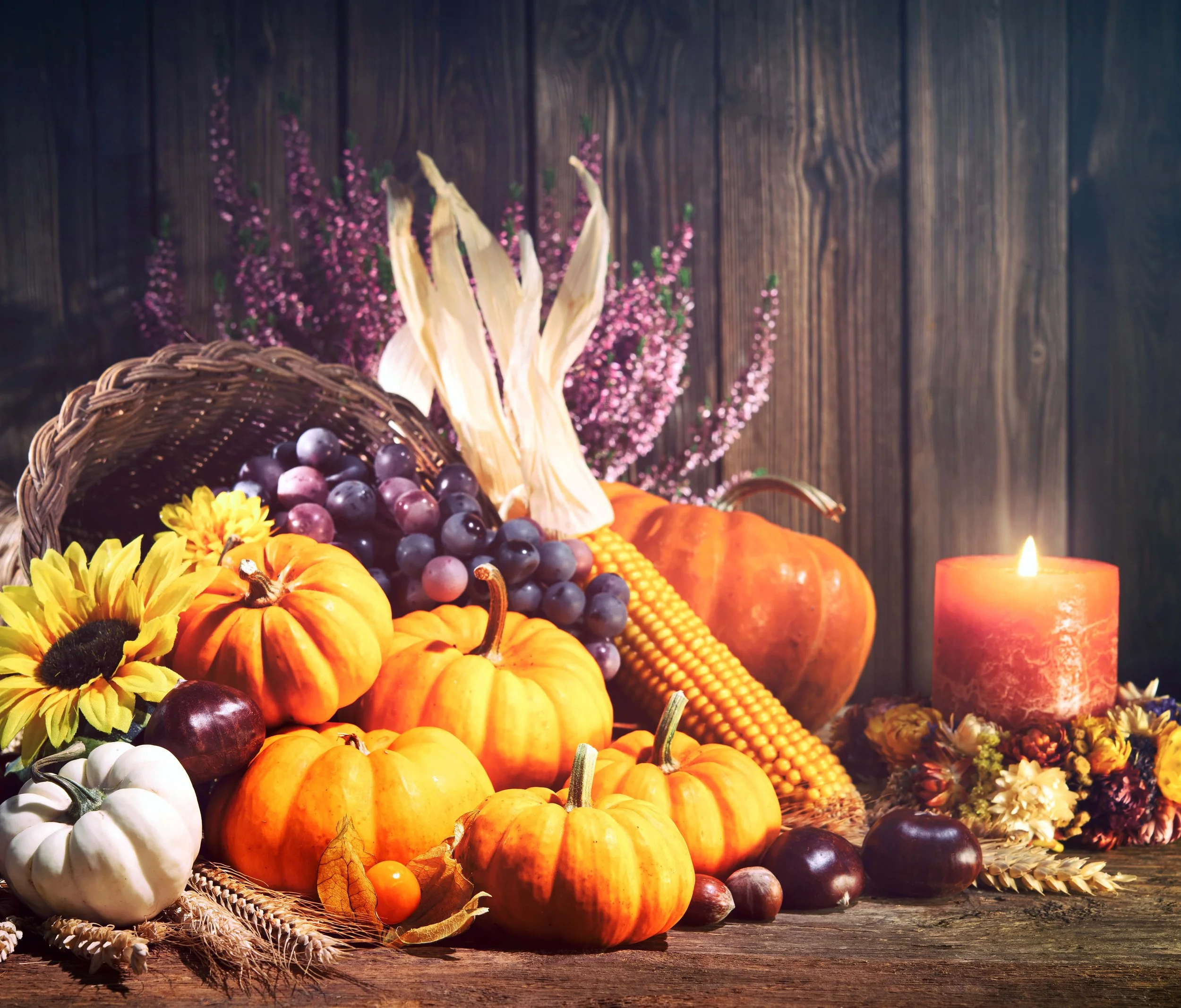 Reflection by Sr. Diane Guerette, DW