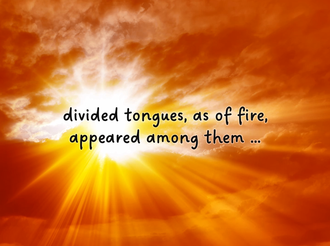 Reflection by Ellie Filippone, Associate of Wisdom