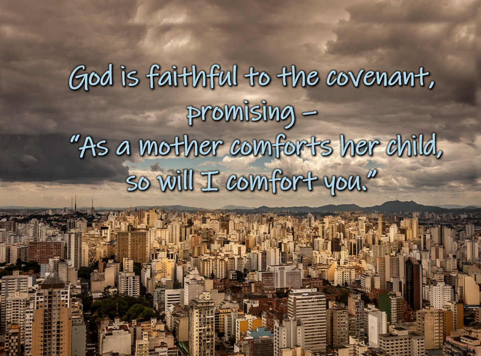 Reflection by Sr. Cathleen Murtha, DW