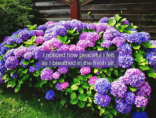 Reflection by Sr. Cathleen Murtha, DW