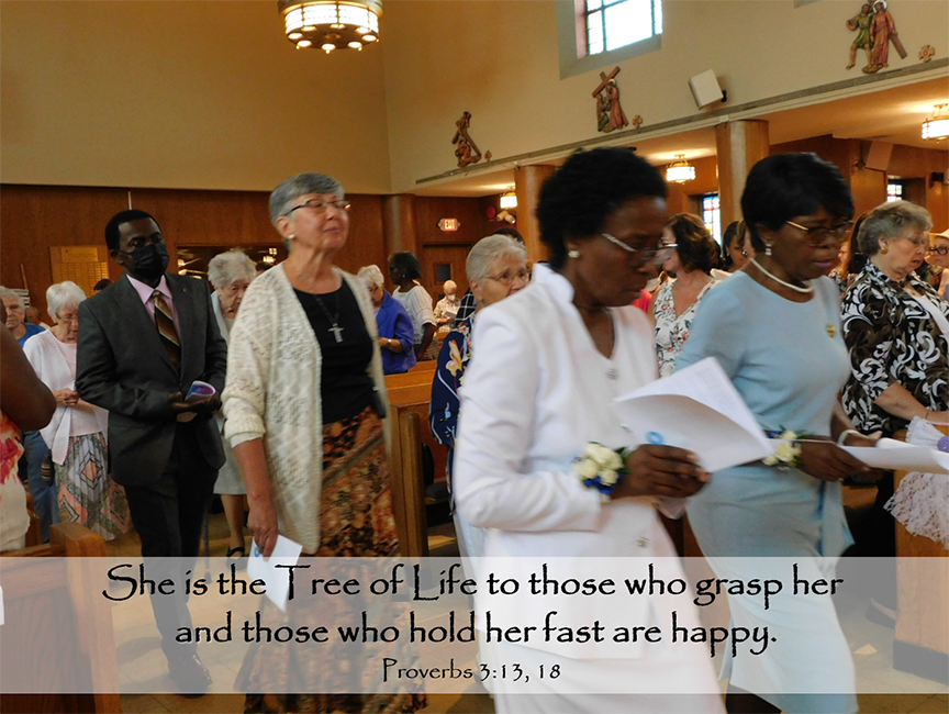 Reflection by Sr. Cathleen Murtha, DW