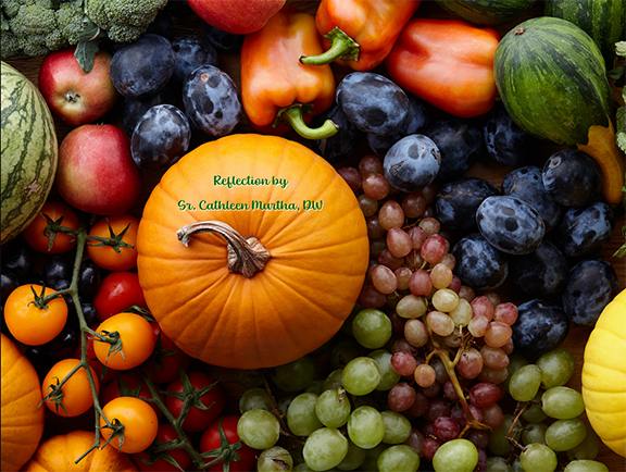 Reflection by Sr. Cathleen Murtha, DW