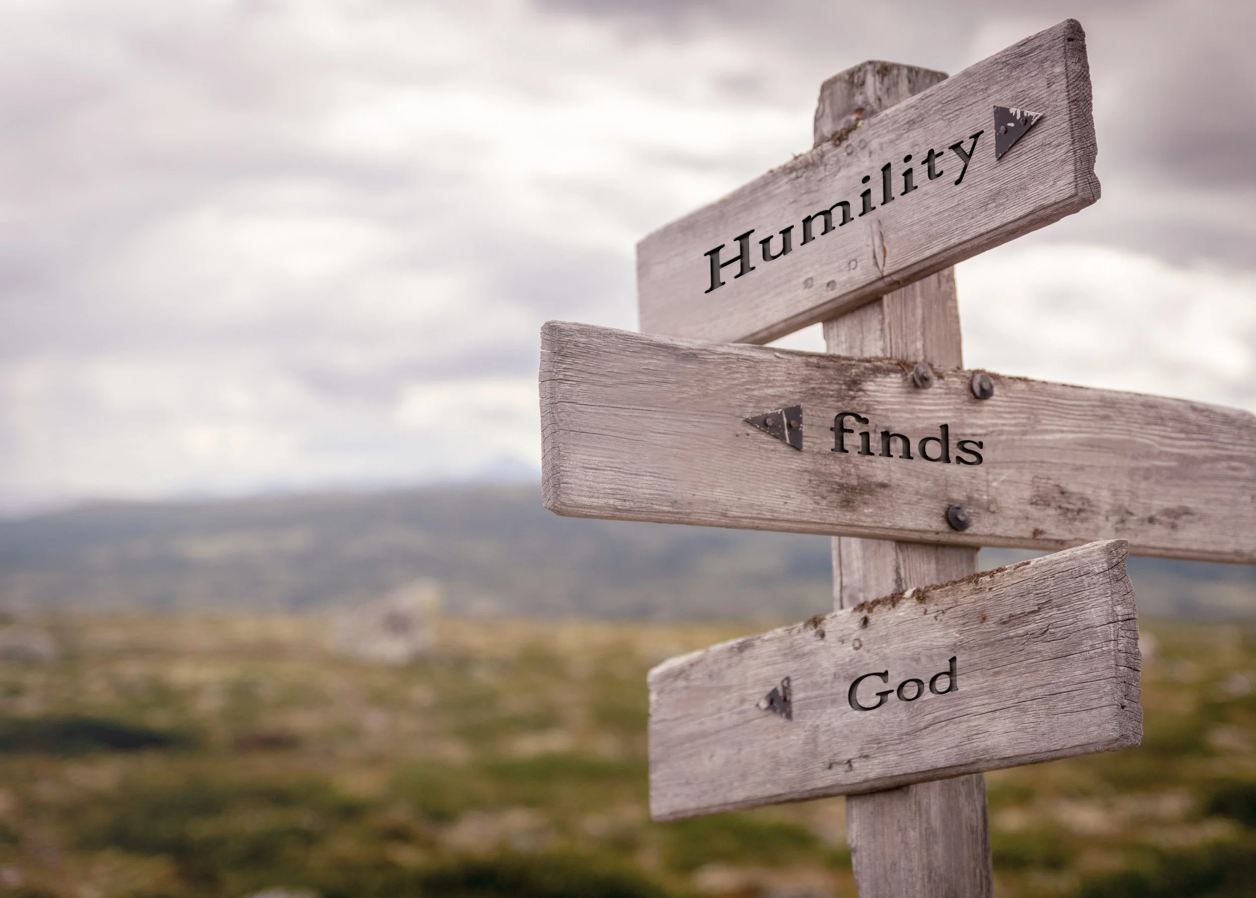 Reflection by Sr. Cathleen Murtha, DW