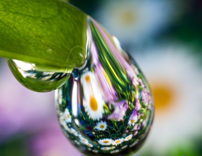 Reflection by Sr. Cathleen Murtha, DW