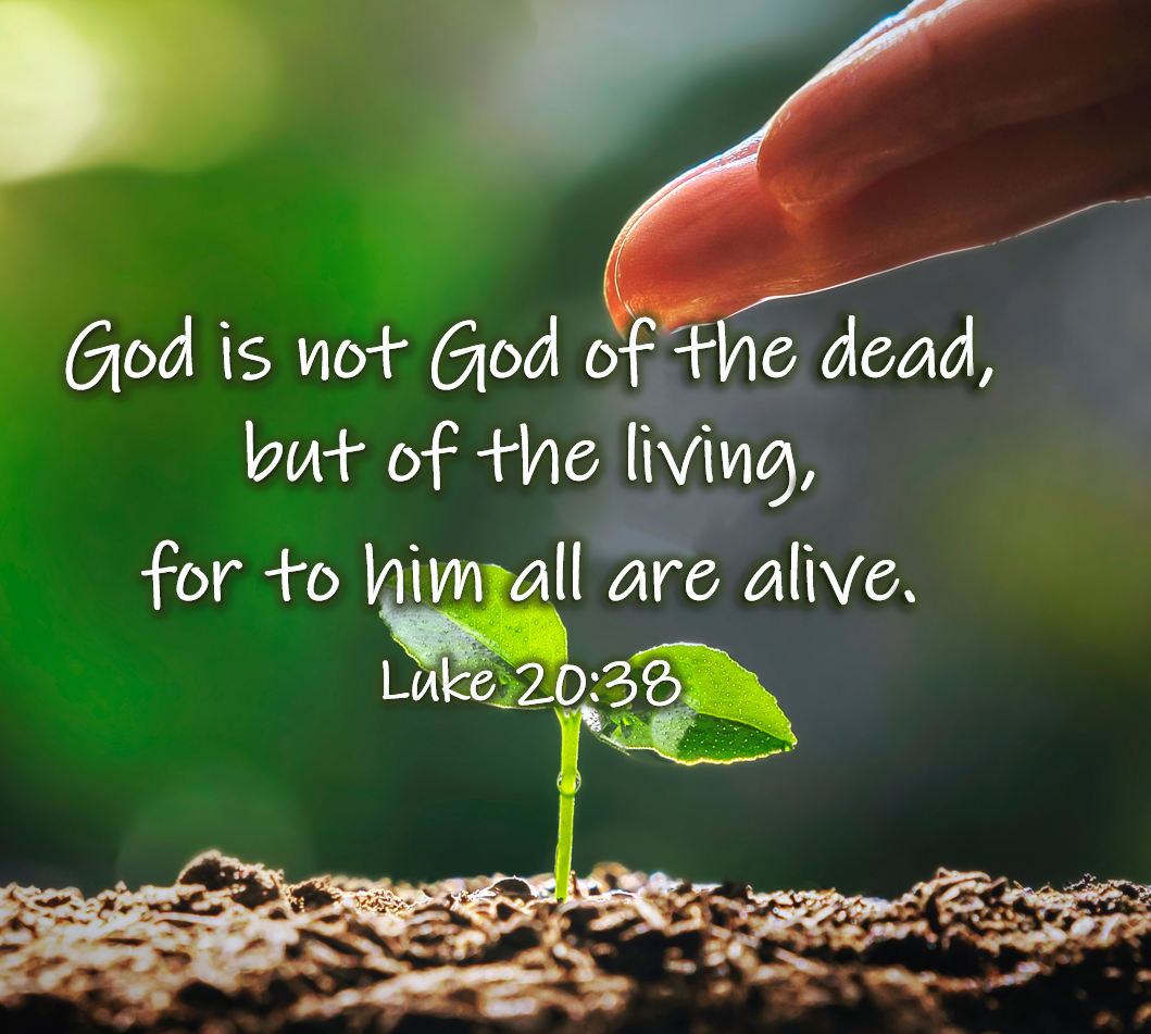 Reflection by Sr. Cathleen Murtha, DW