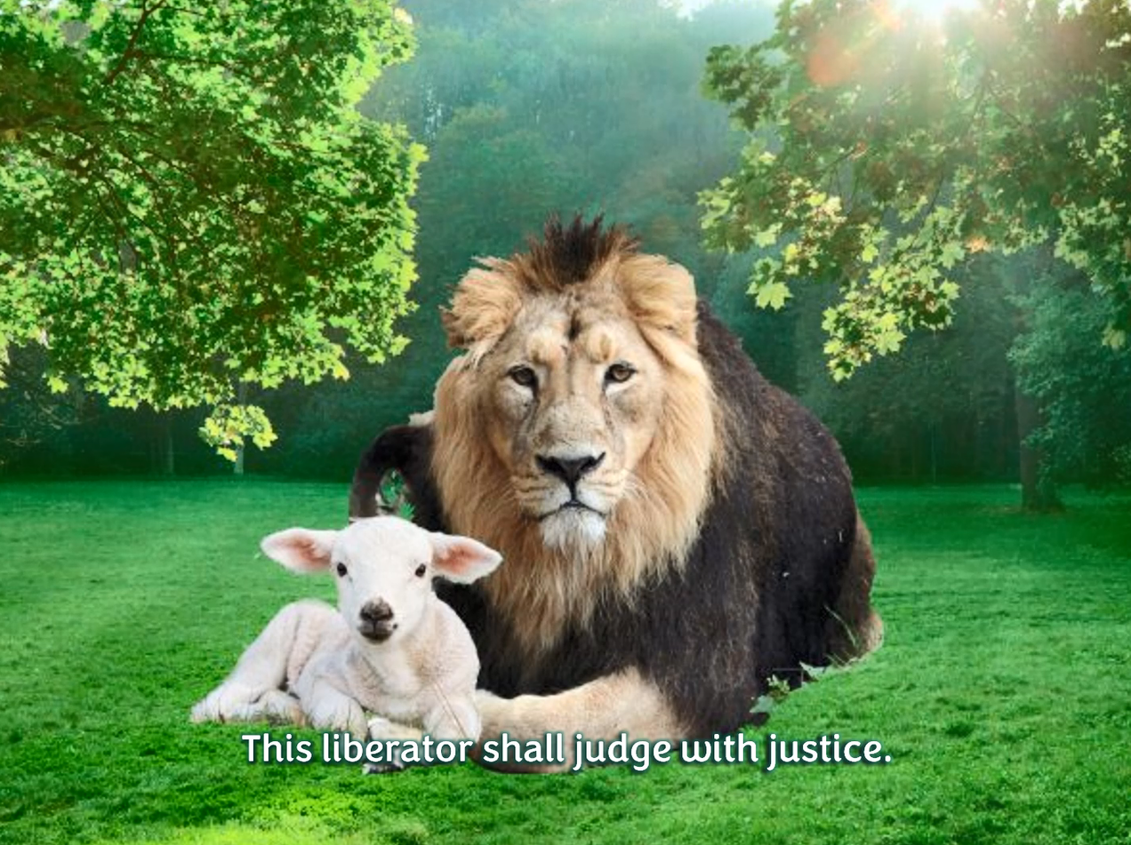 Reflection by Sr. Diane Capozzi, DW