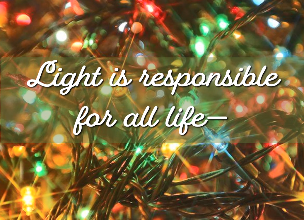 Reflection by Pat Wolosz, Associate of Wisdom