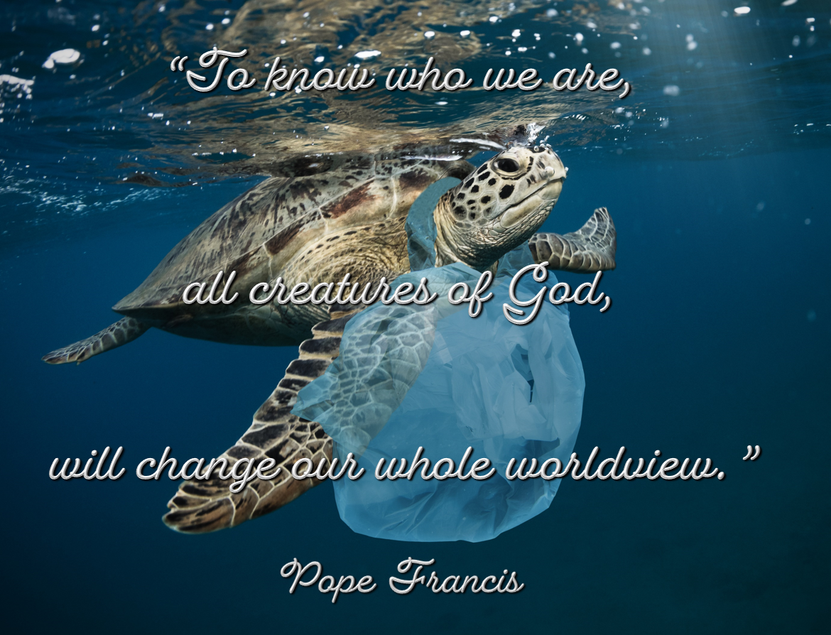 Reflection by Ellie Filippone, Associate of Wisdom