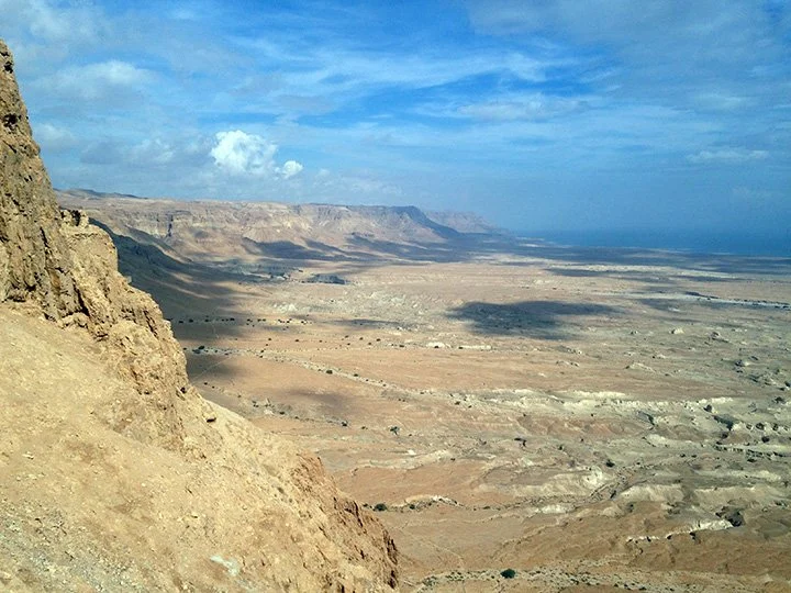 Reflection by Sr. Evelyn Eckhardt, DW