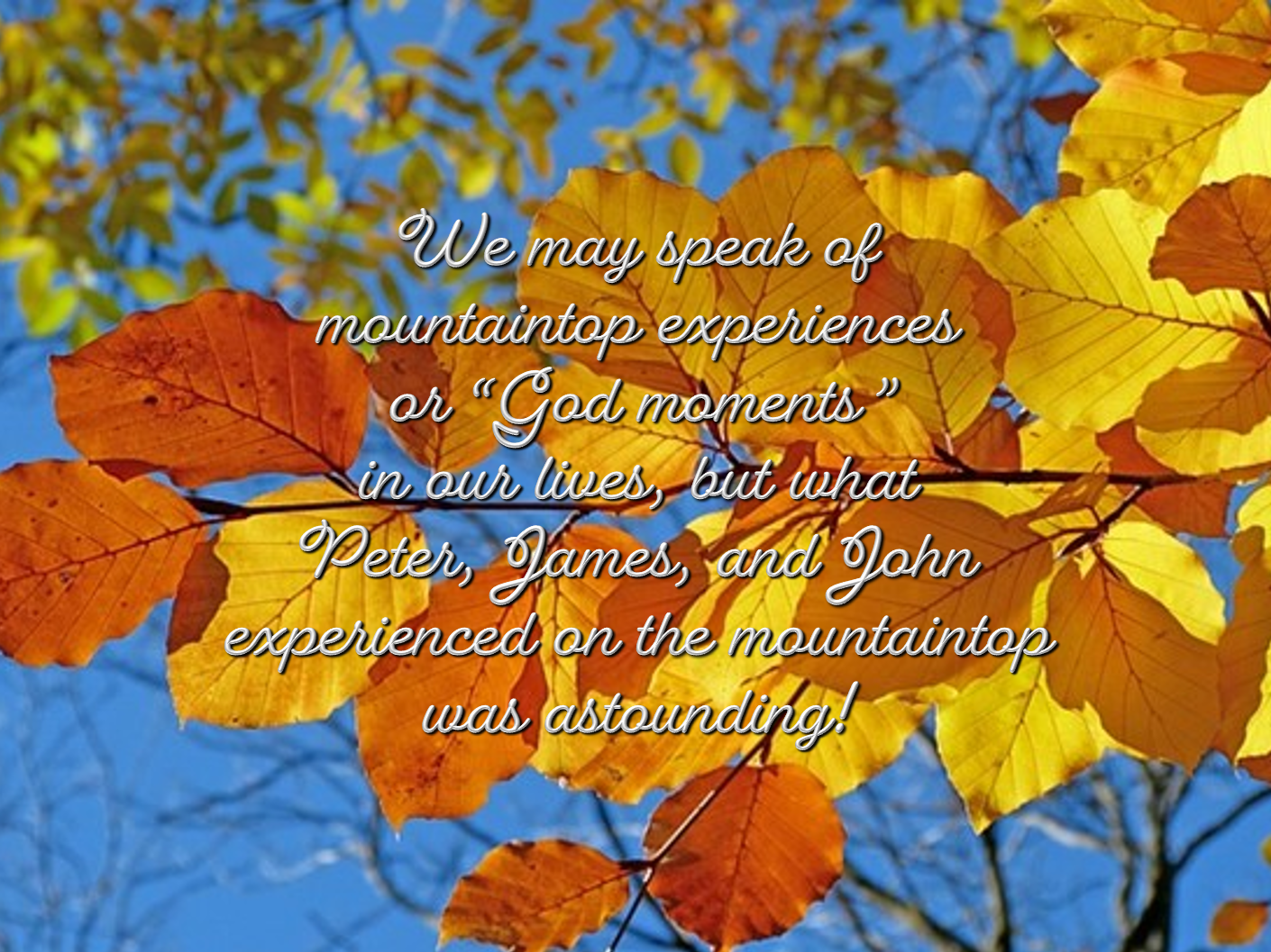 Reflection by Ellie Filippone, Associate of Wisdom