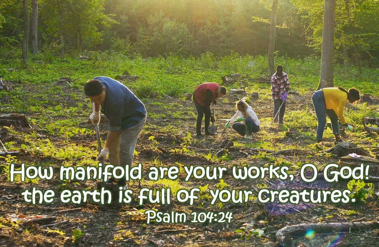 Reflection by Sr. Cathleen Murtha, DW