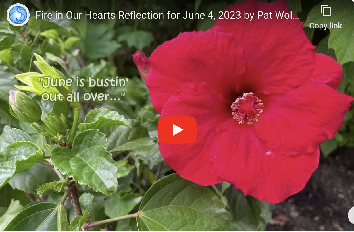 Reflection by Pat Wolosz, Associate of Wisdom